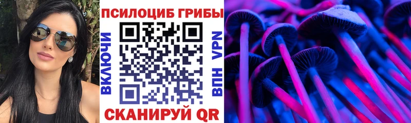 Псилоцибиновые грибы ЛСД  как найти наркотики  Любань 